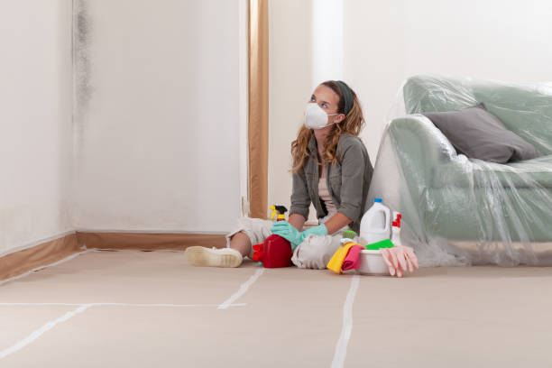 Reliable Mold Inspection And Testing contractor in Chevy Chase, MD by Car Mold Remediation